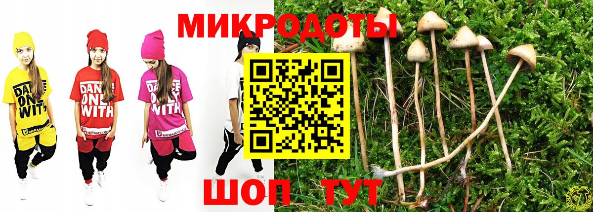 Псилоцибиновые грибы мухоморы Богданович